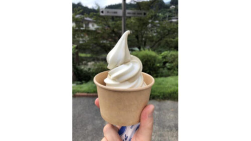 道の駅あしがくぼ　紅茶ソフトクリーム
