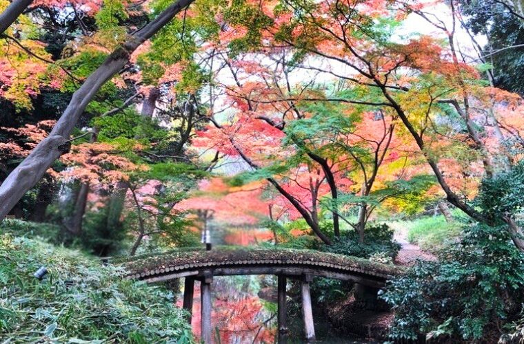 六義園