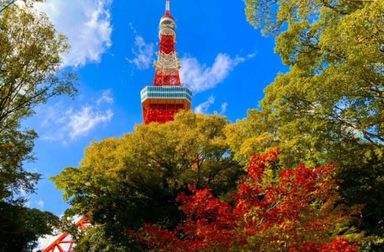 芝公園 秋