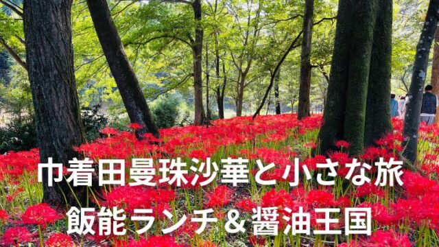 アイキャッチ 曼珠沙華まつり