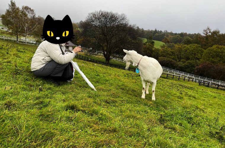 動物と触れ合い