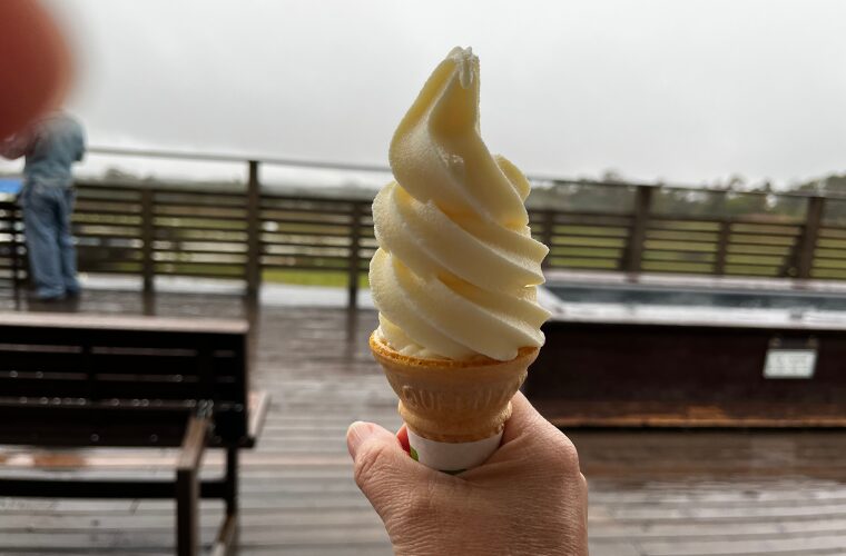 清泉寮ソフトクリーム