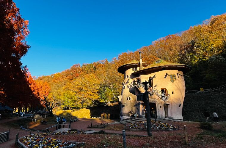 トーベ・ヤンソンあけぼの子どもの森公園・きのこの家