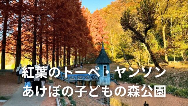 【飯能を楽しむ１日】紅葉のトーベ・ヤンソンあけぼの子どもの森公園
