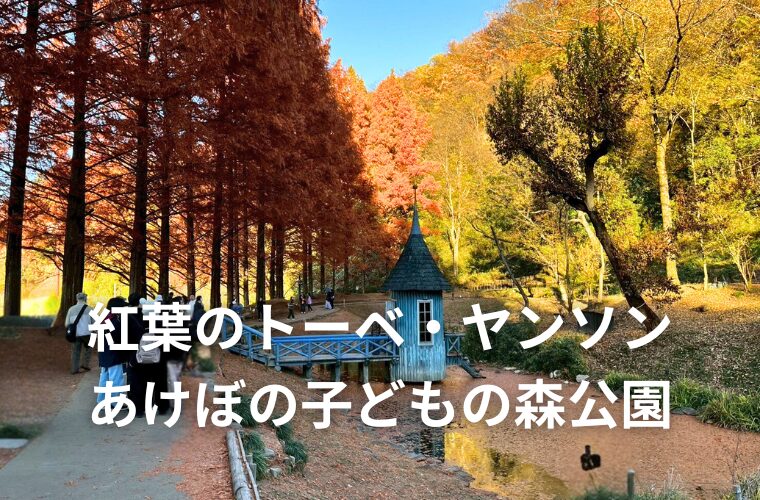 【飯能を楽しむ１日】紅葉のトーベ・ヤンソンあけぼの子どもの森公園