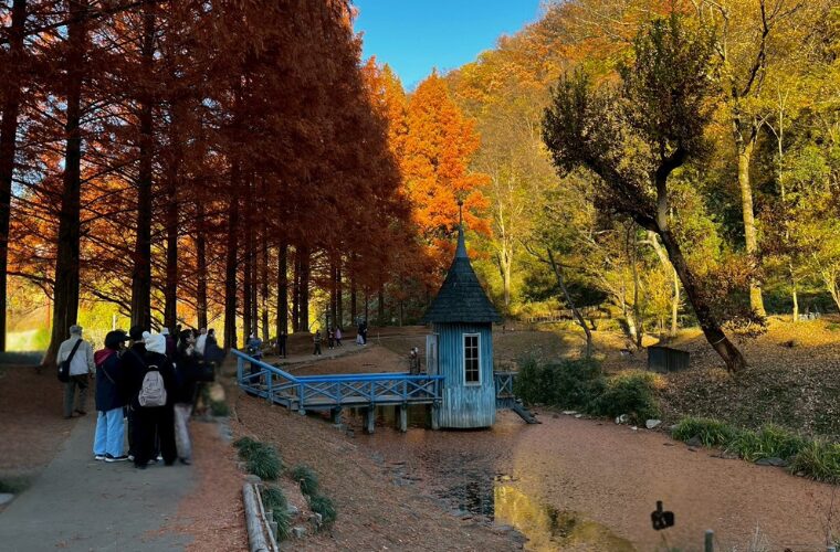 トーベ・ヤンソンあけぼの子どもの森公園 池