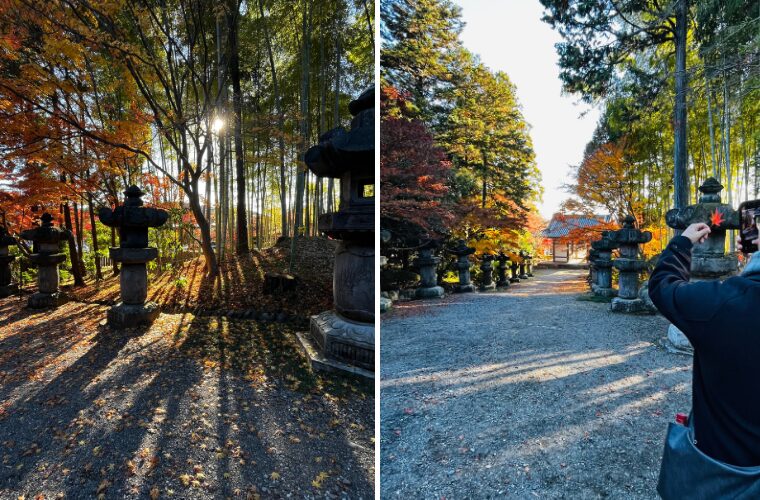 能仁寺　紅葉の写メ