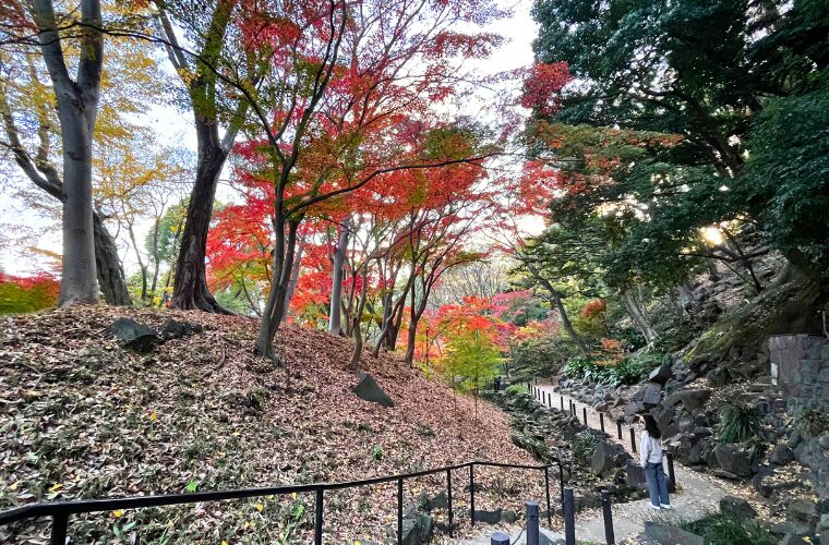 芝公園・もみじ谷