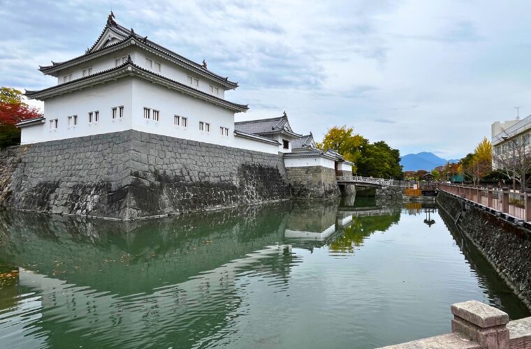 静岡 駿府城公園