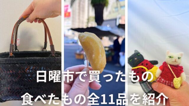 50代高知一人旅！日曜市で買ったもの・食べたもの全11品を紹介