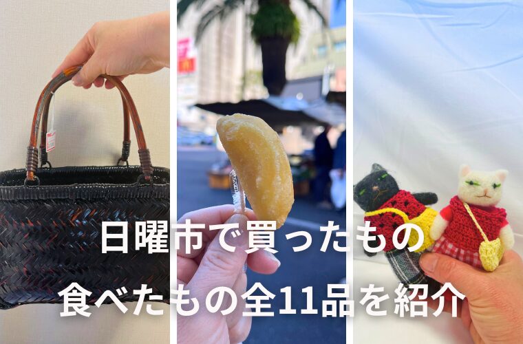 50代高知一人旅!日曜市で買ったもの・食べたもの全11品を紹介