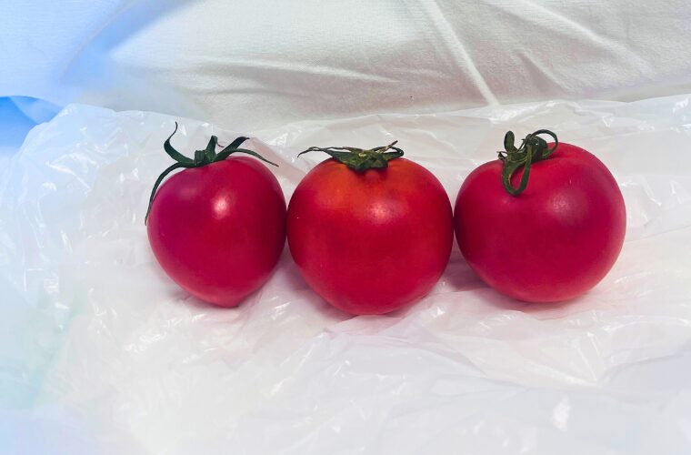 日曜市 フルーツトマト