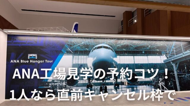 ANAブルーハンガーツアー