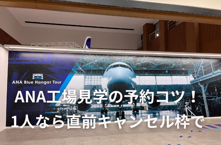 ANAブルーハンガーツアー