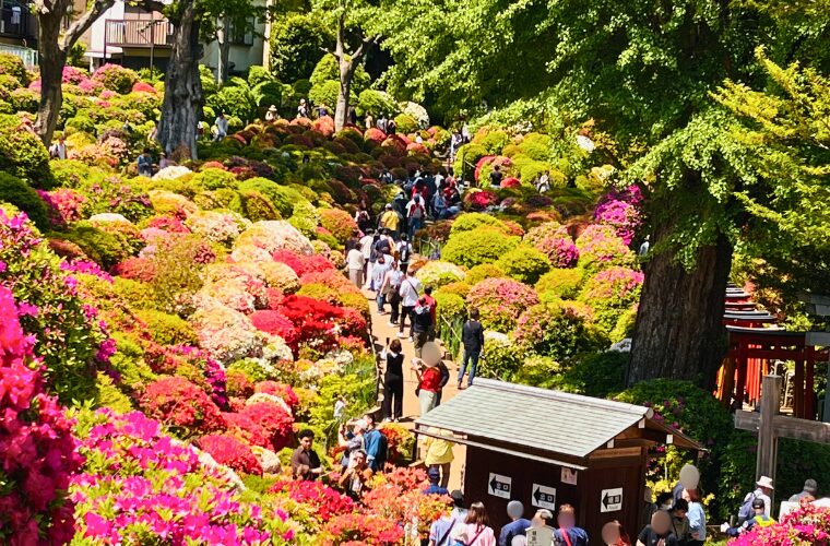 つつじ苑
