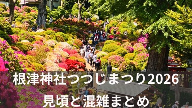アイキャッチ根津神社