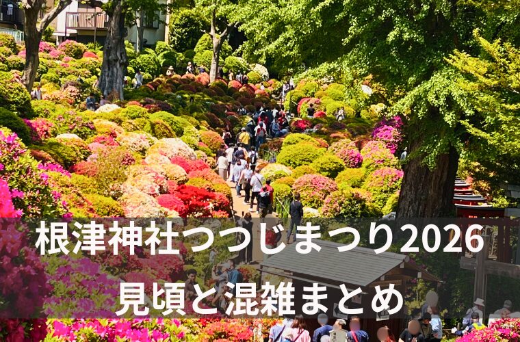 アイキャッチ根津神社