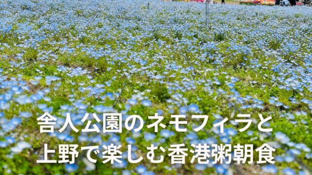 ネモフィラと上野五千の香港粥ランチで楽しむ春のソロ活