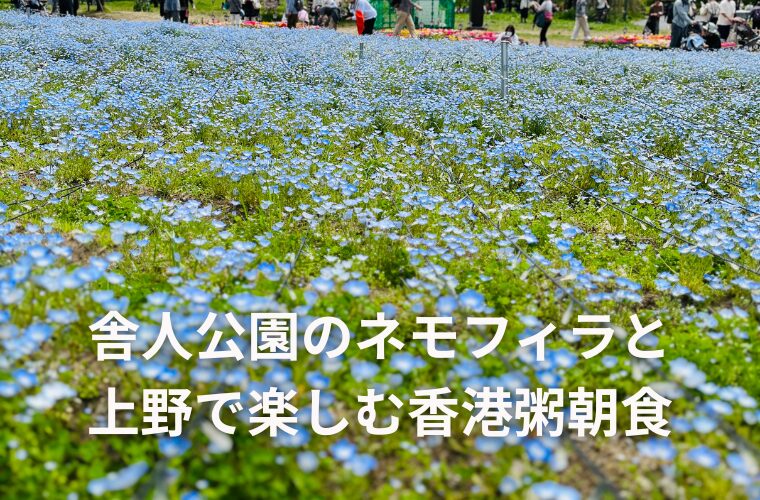 ネモフィラと上野五千の香港粥ランチで楽しむ春のソロ活