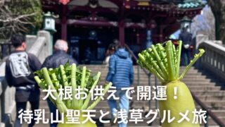 大根お供えで開運！待乳山聖天と浅草グルメ旅