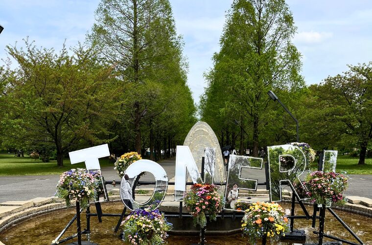 舎人公園・並木道