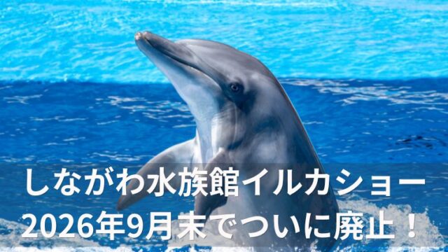 アイキャッチしながわ水族館イルカショー 2026年9月末でついに廃止！