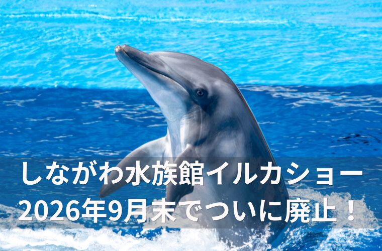 アイキャッチしながわ水族館イルカショー 2026年9月末でついに廃止！