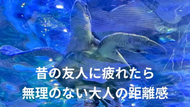 昔の友人に疲れたら無理のない大人の距離感